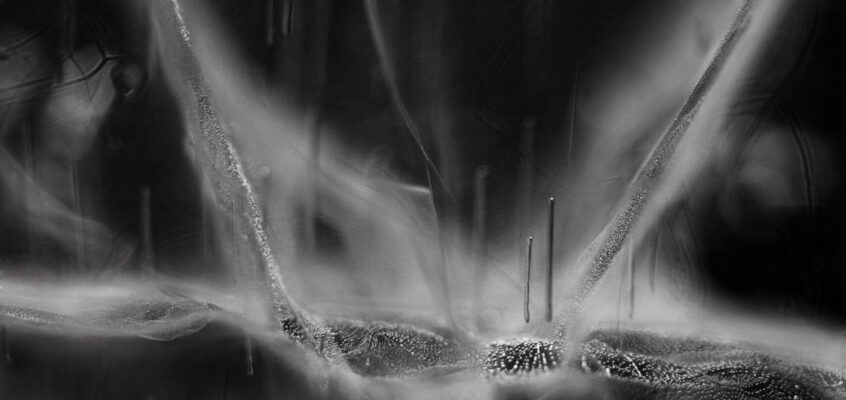 A Matter of Light and Depth: 21 July – 15 August 2026
