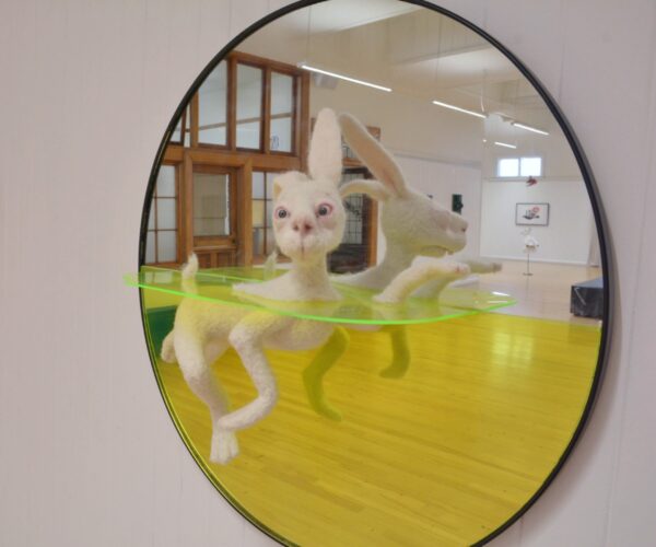 GT Nina's Hare