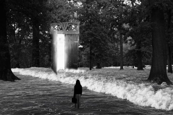 Steiner
