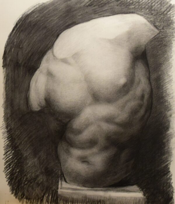 torso